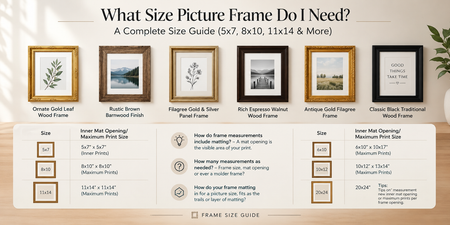 What Size Picture Frame Do I Need? A Complete Size Guide (5x7, 8x10, 11x14 & More)