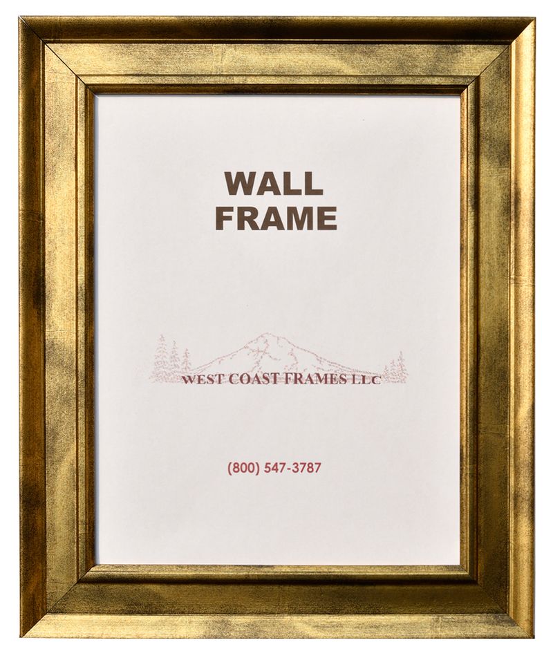 41405 Gold/Bronze Contemporary Poly Picture Frame